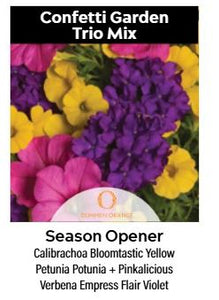 Confetti Garden Season Opener 12" Hanging Basket